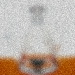 PNP